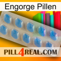 Engorge Pills 22